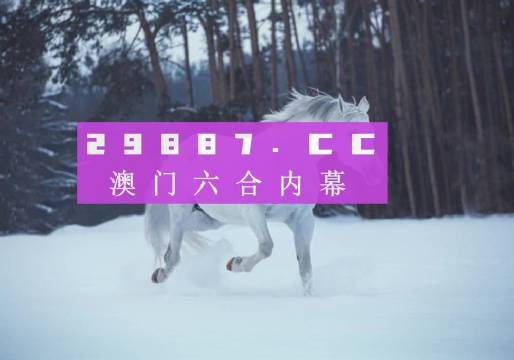 金牛版澳门网站开奖结果，探索与解析