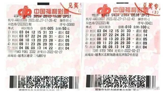 双色球2021058期开奖号码结果查询，揭秘幸运之门背后的秘密