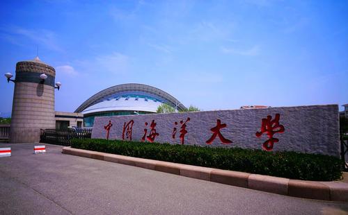 山东11选五开奖图结果，探索与解析