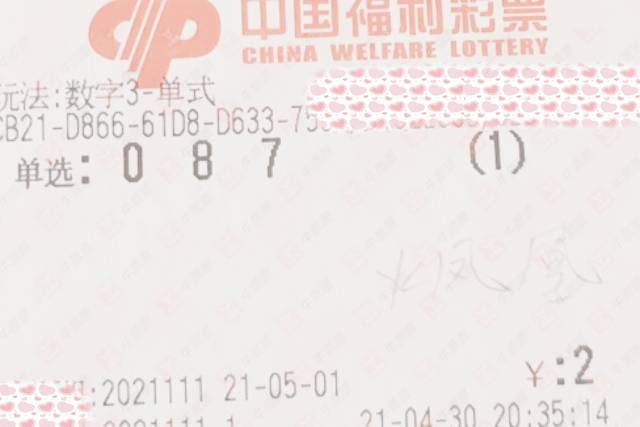揭秘彩票奥秘，关于2021年第三期福利彩票开奖结果的深度解析与查询指南