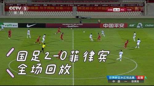 世界杯录像回放视频，重温经典，感受足球魅力