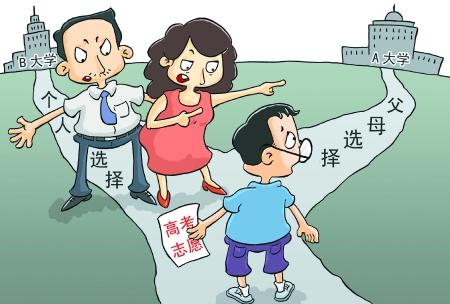 双色球蓝球五行走势工具，探索与解析