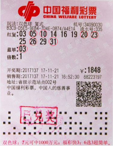 双色球2023年历史记录，揭秘彩票背后的故事