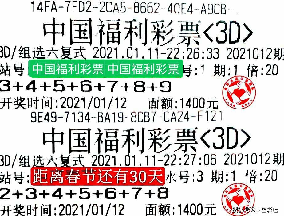 福彩3D字谜图谜好彩网，探索彩票世界的神秘与魅力