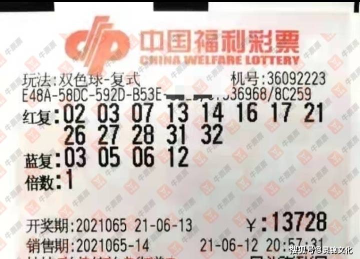 双色球第24123期的魅力与挑战