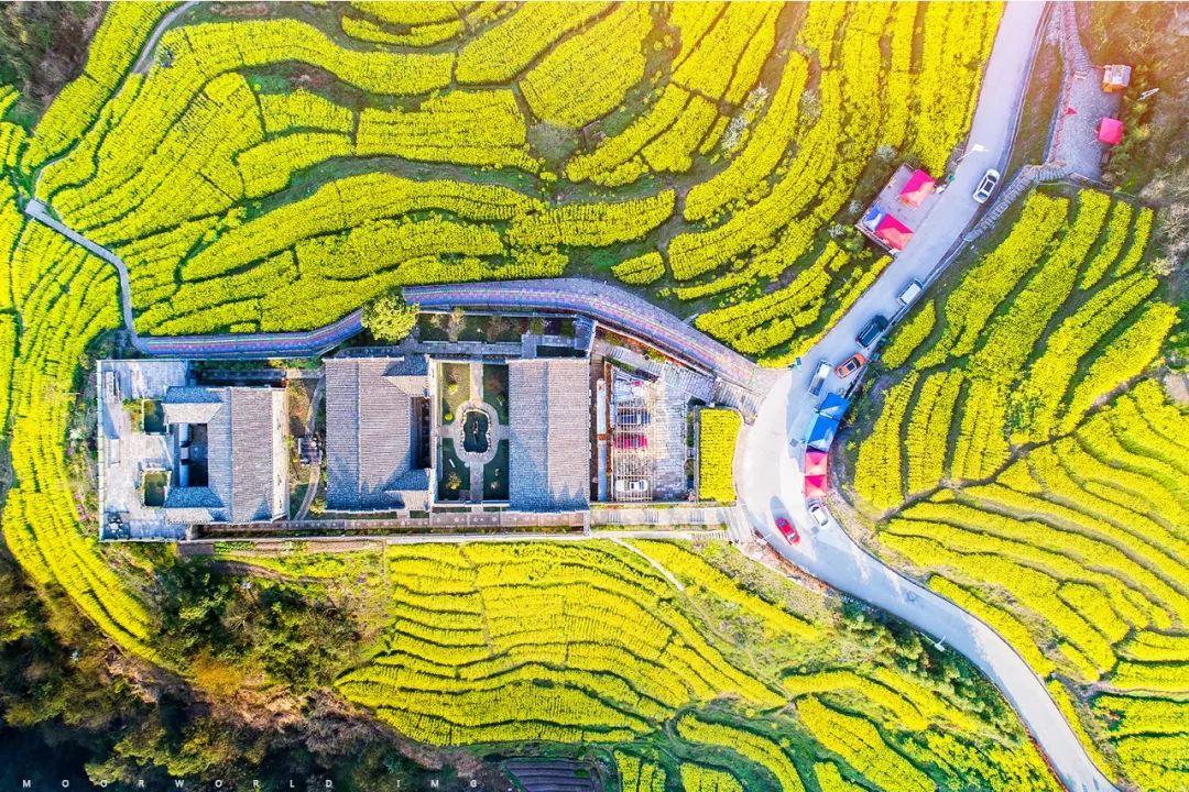 浙江快乐彩玩法，探索数字与幸运的魅力