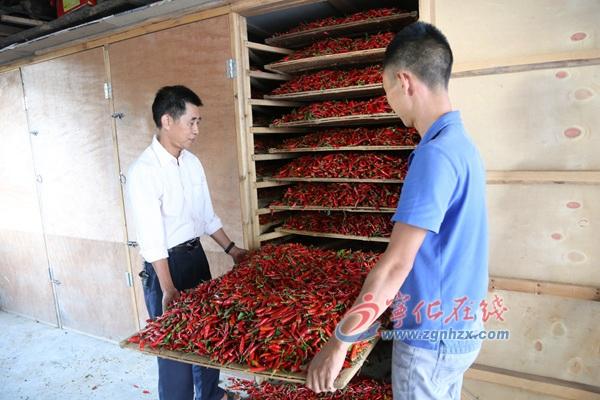 王中王免费资料大全料大全一精准天天彩