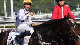 兼职岗位 第279页