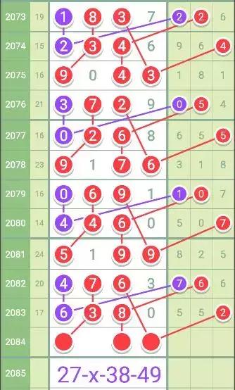 澳门王中王100%的资料2024年009期