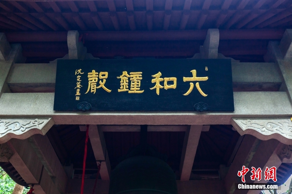 六和彩开奖结果资料354期