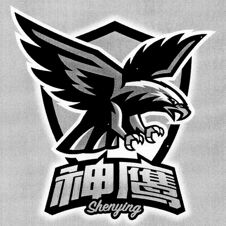 神鹰权威论坛中心