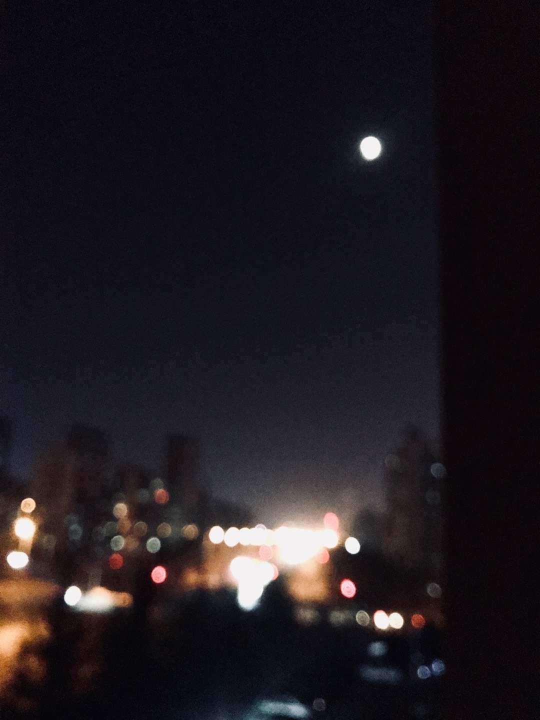 蓝月亮免费资料大全香港最快开