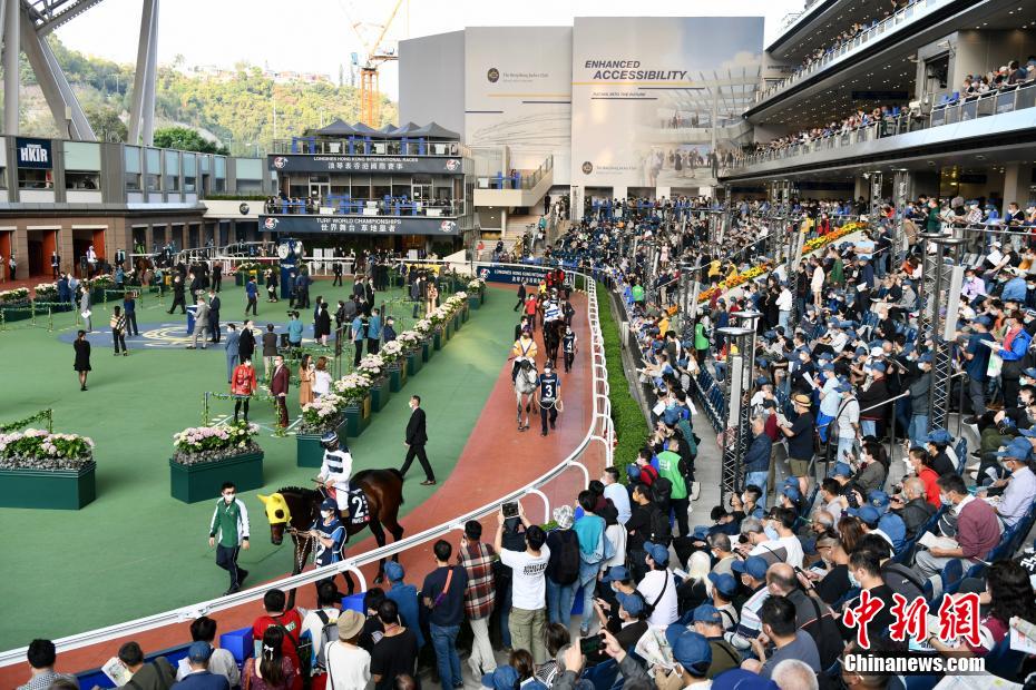 马会与会员介绍香港赛马会资料大全料大全