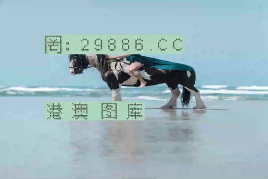 深海沉石 第96页