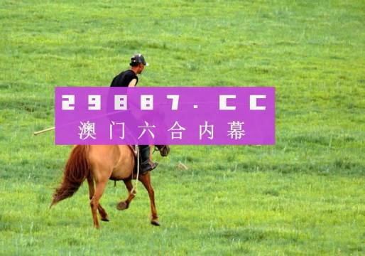 2023澳门精准正版澳门码精彩时刻
