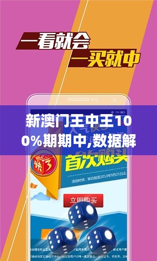 澳门内部精选资料大全995