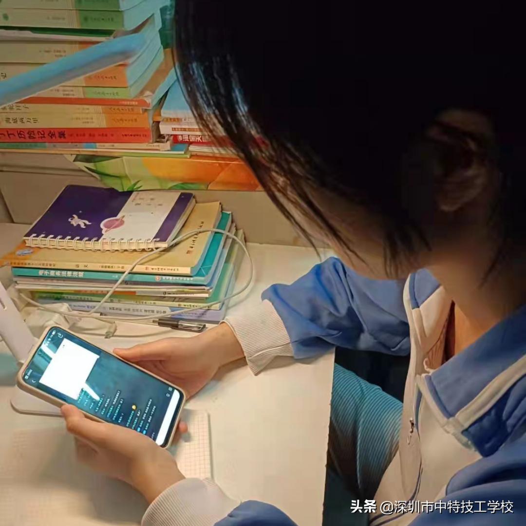 四肖选一肖中特特肖有几组