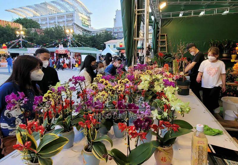 2023澳门今晚开什么号码