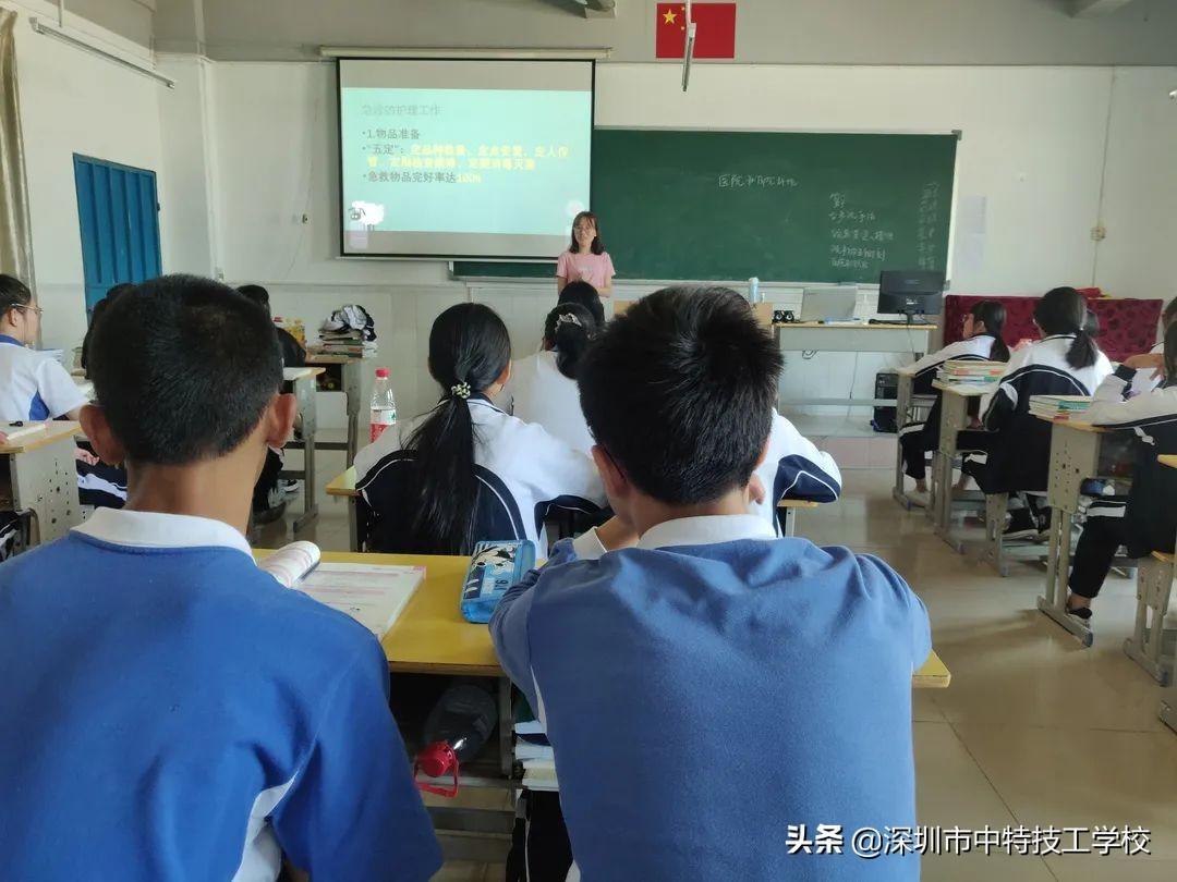 四肖选一肖中特特肖有几组