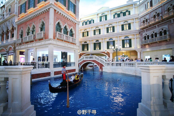 王中王开奖结合查询