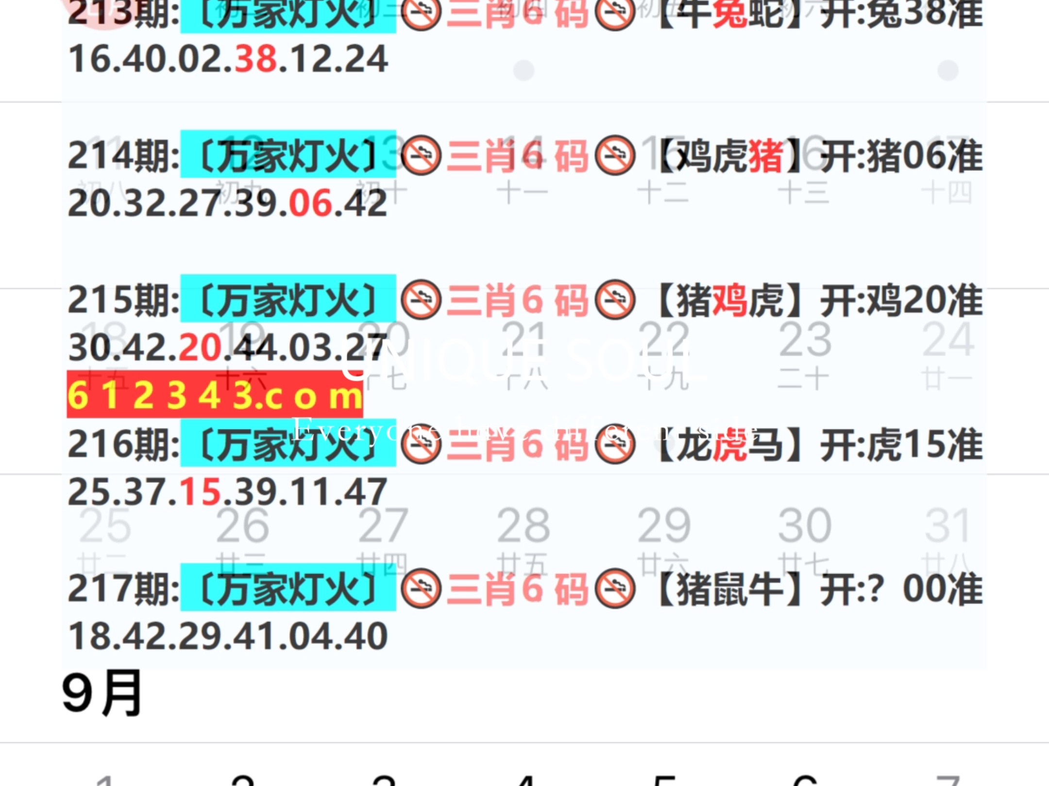 2024澳门六今晚开奖出来,管家婆2024