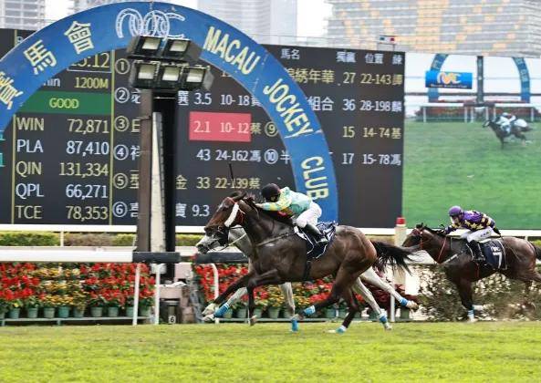 香港马会2019 开奖结果历史记录