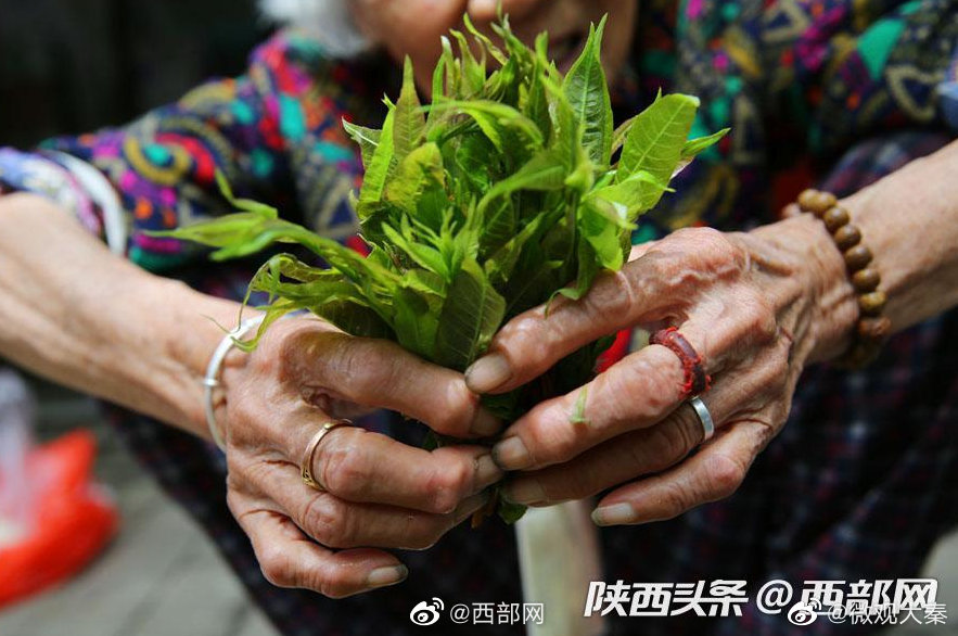 港澳宝典澳门资料大全,正版资料查询2025年