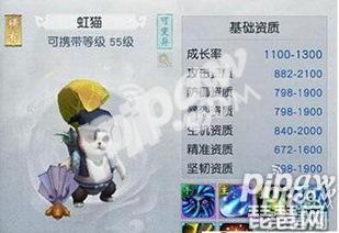 龙将辅助器