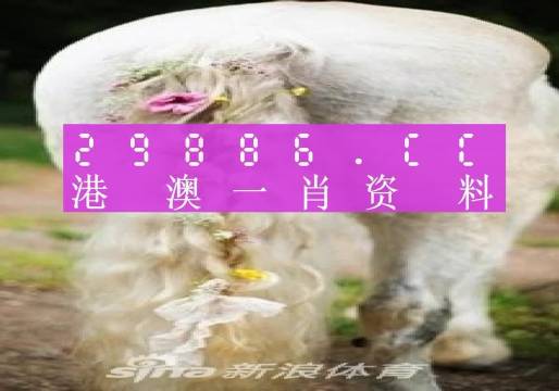 2023澳门精准正版资料一肖一特