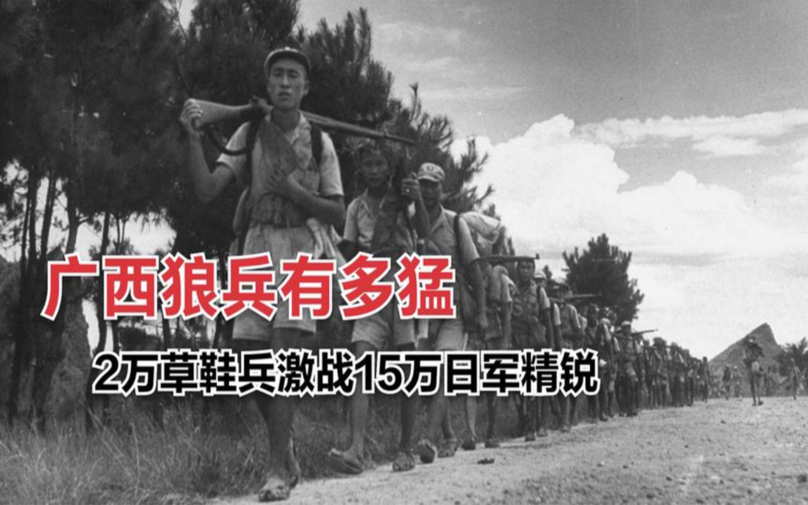 广西的狼精英主论坛12366