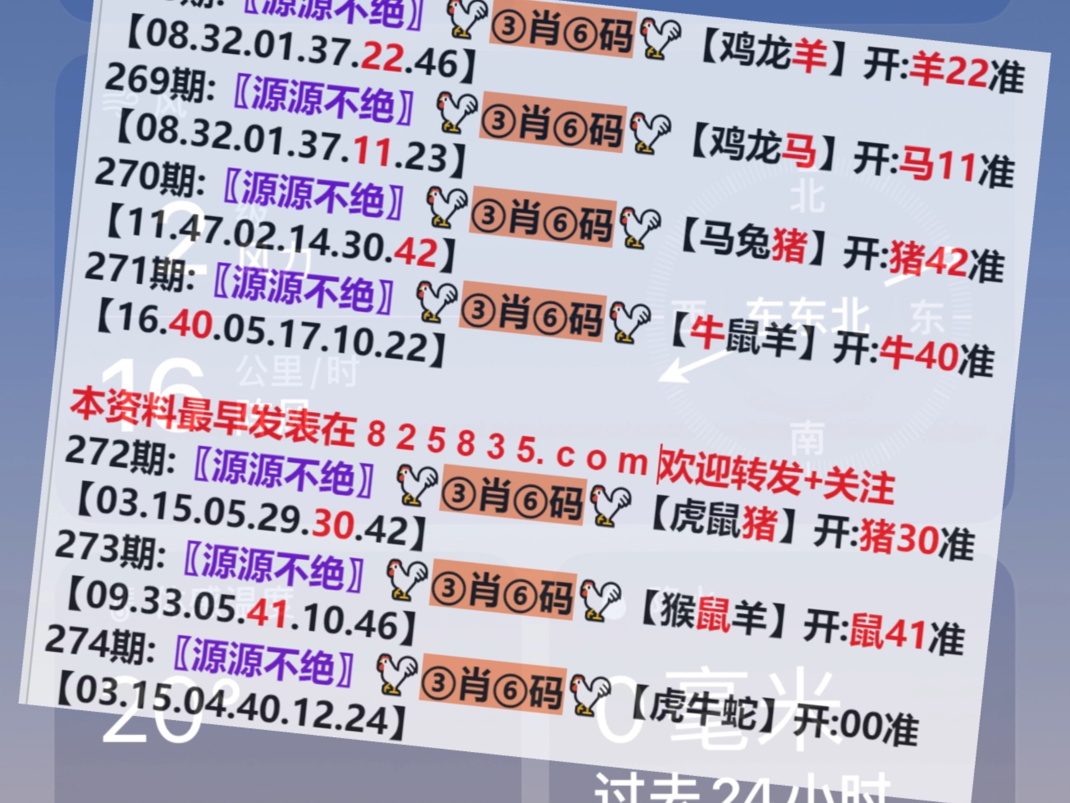 2024年澳门今晚开码料图片