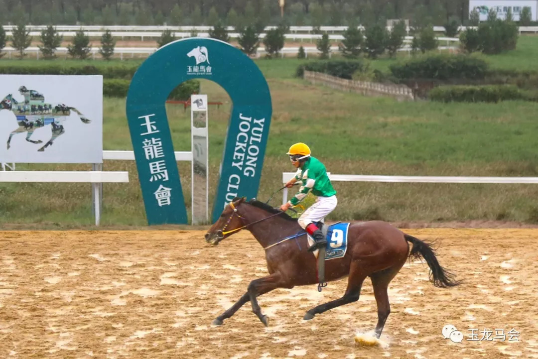13262cc马会传论坛开奖马今晚四不像是什么