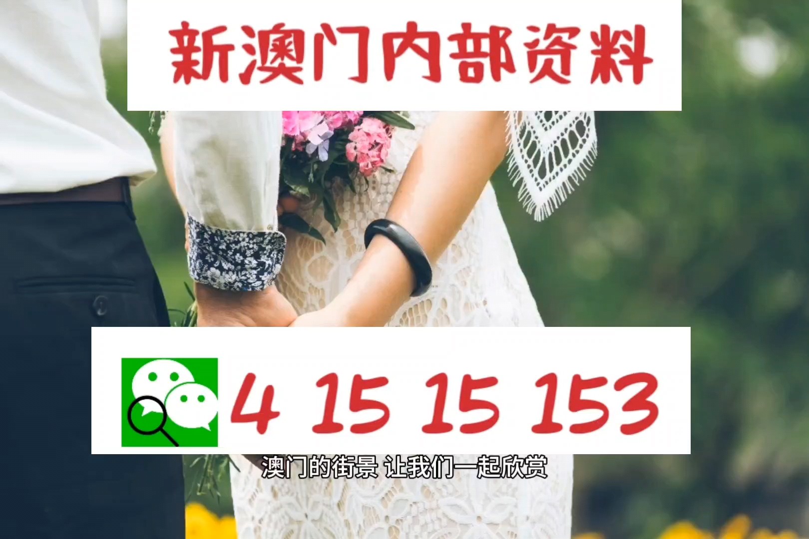 新澳2023管家婆资料
