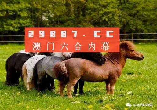黄大仙精选资料一肖一码澳门