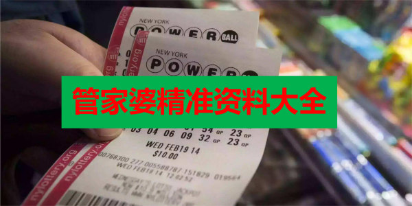 管家婆2023正版资料