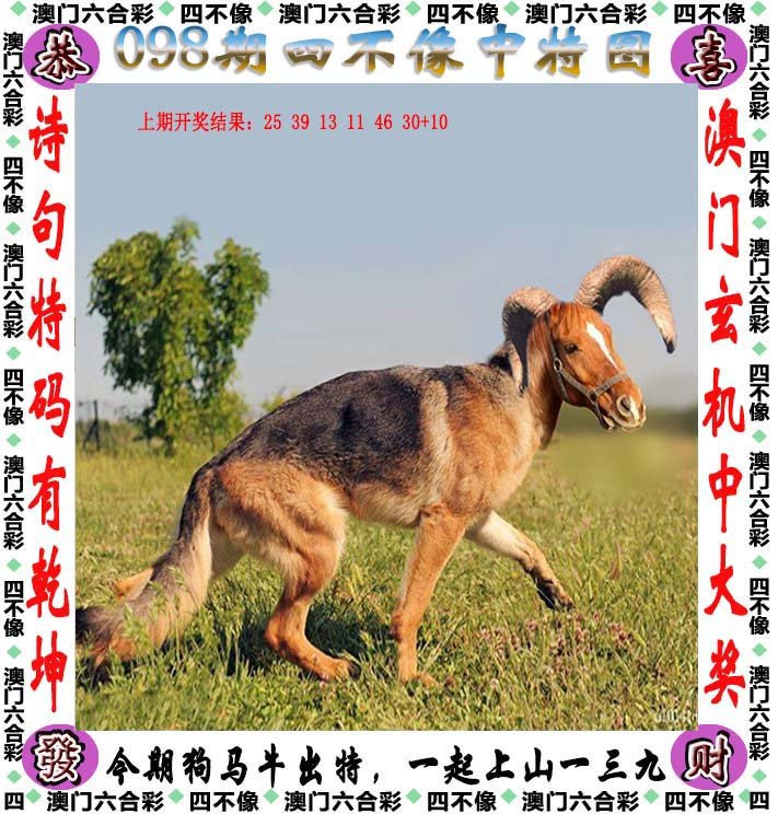 新澳马今天最快最新图库223期四不像图片