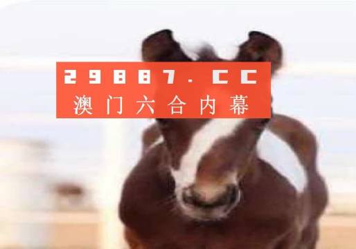 澳门一肖一码100准确下载地址