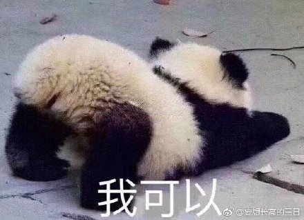 626969四不像图