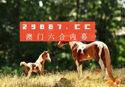 新澳门彩票资料下载与查询难题解析奥门彩票有限公司 官网新版在线播放