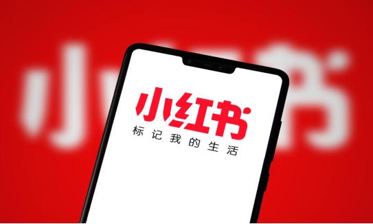 高学历岗位 第90页