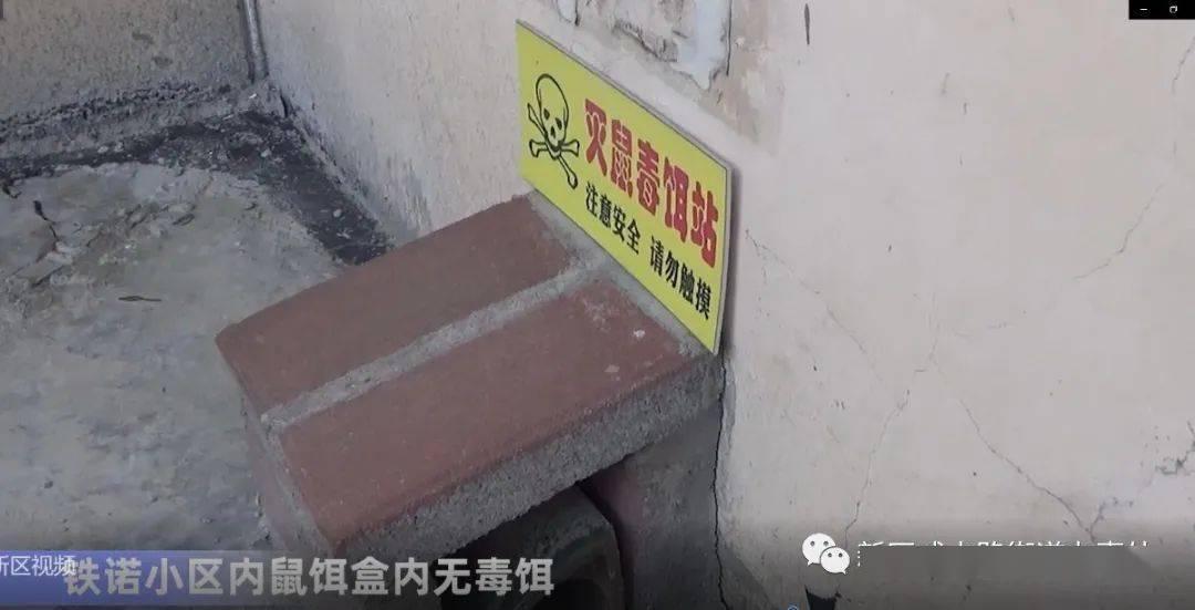 蓝月亮精选免费精料天天好