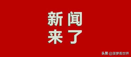 2024新奥今晚开什么号