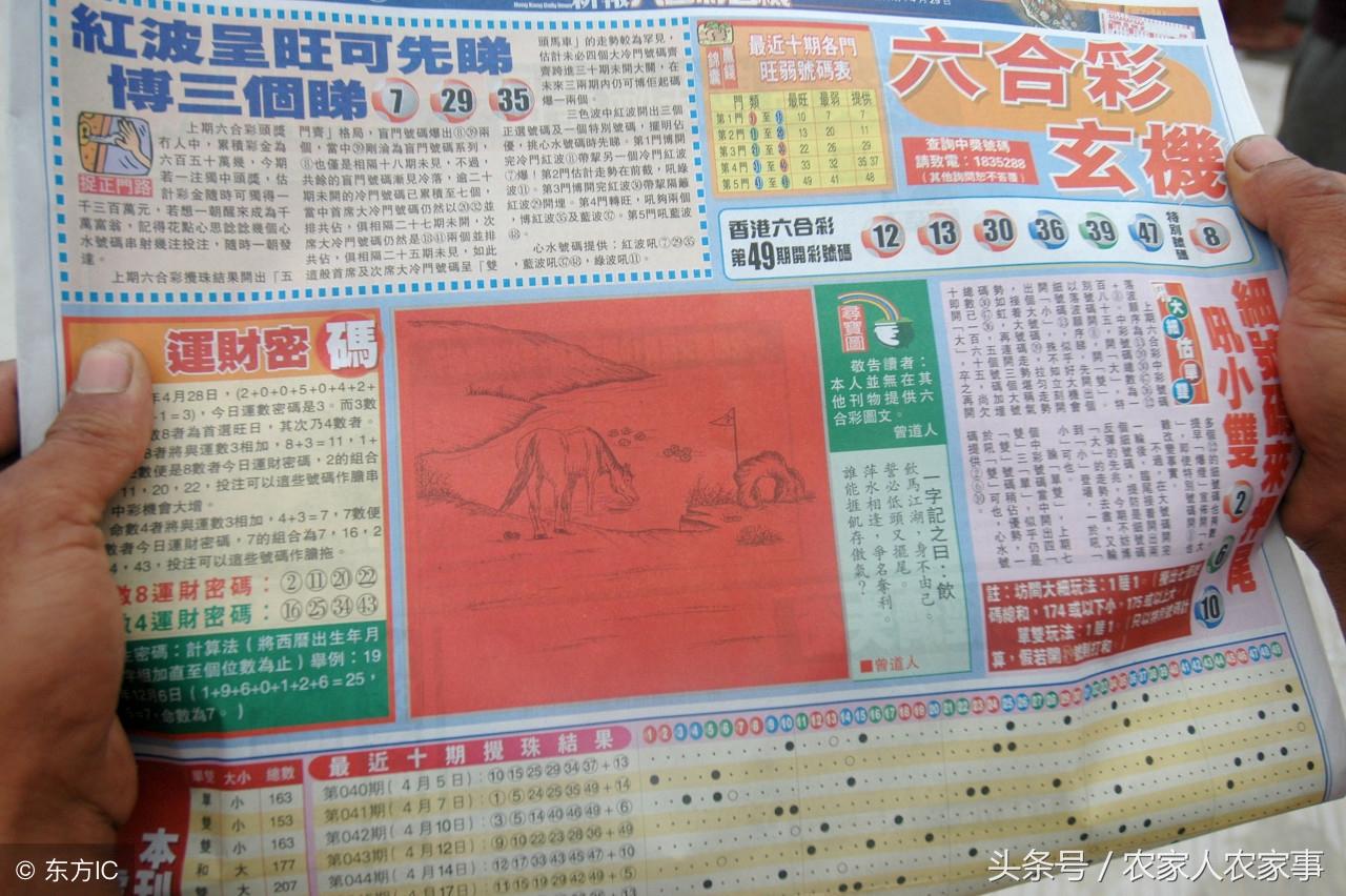 2023最准资料香港大全100期