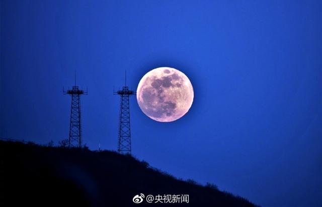 蓝月亮精选料大全一页天下灬