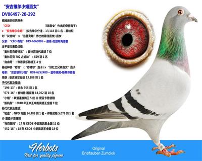 深海沉石 第20页