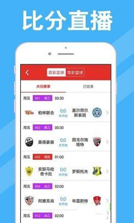 新澳门开奖结果查询表格下载安装手机版官方最新版指南新澳门开奖结果2020+开奖记录_