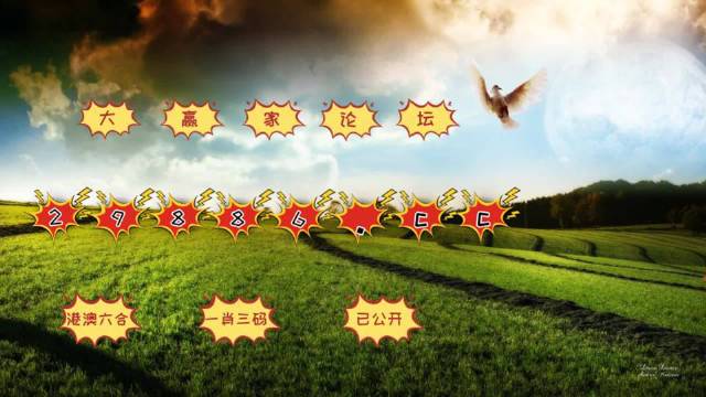澳门新奥门六开奖结果204年8月9日查询汇总表下载及分析澳门开奖4238开奖记录