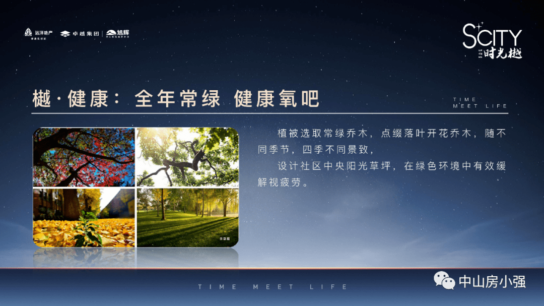 澳门新彩开奖结果与生肖解析，视频解说下载全攻略新澳门开奖