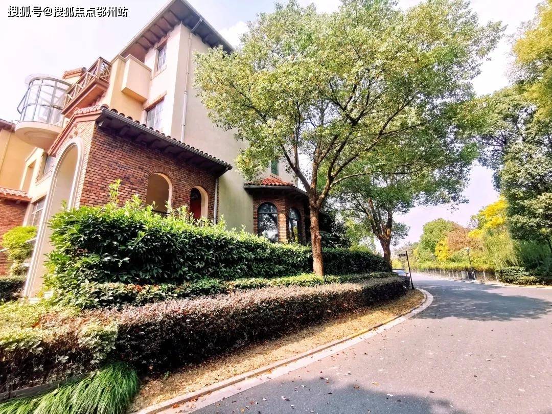 澳门新彩开奖结果与生肖图片解析大全，下载与解读新澳门开奖结果