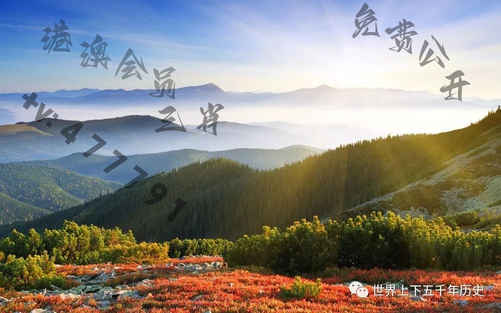 澳门新开奖直播网站的新动态与最新一期彩票揭晓新澳门开奖结果2020+开奖记录_